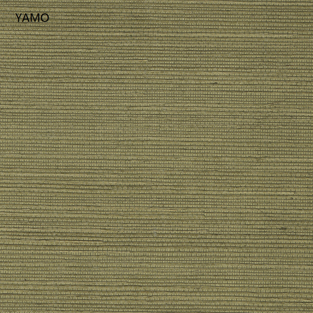Y5-I04