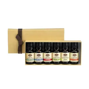 Aroma diffuser gift set for oil burner gift set 10ml essential oil