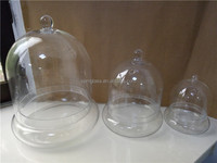 Cloches en verre transparentes pour plantes, comme un plateau pour plantes sous cloche