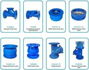 Van một chiều kiểu mặt bích bằng gang dẻo, van chặn bằng thép không gỉ cho nước với bộ điều khiển điện từ - Product Image 6