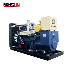 Diskon Mesin STEYR 150kW 187.5kvA Gas Alami/Biogas/Generator Listrik Gas Lpg Disetujui CE