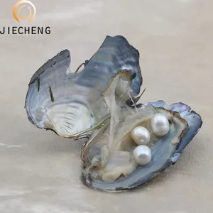 Enfeites de pérolas culturas de 6-8mm, menor preço para oyster