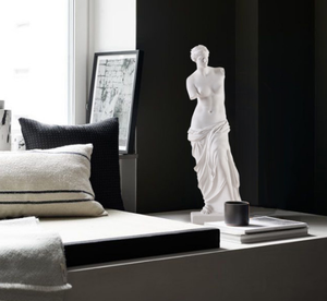 Personalizar la imagen de <span class=keywords><strong>Venus</strong></span> - Product Image 4