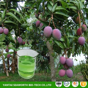 Calcio líquido fertilizante <span class=keywords><strong>para</strong></span> las <span class=keywords><strong>naranjas</strong></span> - Product Image 5