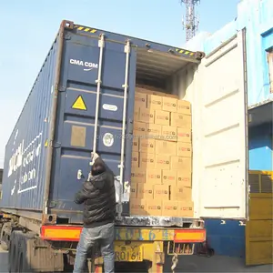 Derde Party Container Laden Inspectie Service