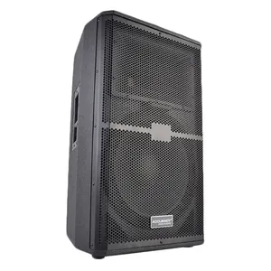 Precisión Pro Audio WP12 altavoz caja sistema de sonido profesional etapa de madera 12 pulgadas de alta potencia 500W