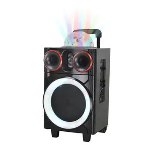 Hoxen 8 Inch Active Trolley Speakers With Disco Ball Light 8 Inch Active Trolley Speaker
