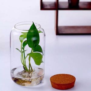 Thủy tinh trong suốt hồ cạn với đèn <span class=keywords><strong>LED</strong></span> cho đám cưới và rêu/Nature thực vật trang trí nội thất Art Deco thiết kế Tabletop <span class=keywords><strong>Vase</strong></span> - Product Image 4