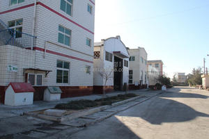 Công Thức Hóa Học Chống Bỏng Sodium <span class=keywords><strong>Polyphosphate</strong></span> - Product Image 3