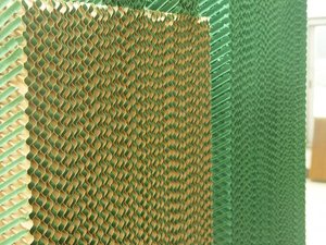 Système mural de refroidissement par évaporation pour poulailler, modèle <span class=keywords><strong>2023</strong></span>, pour serre et élevage avicole, rideau humide en papier - Product Image 6