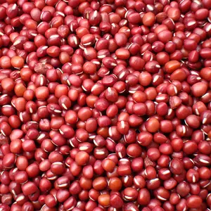 Haricots adzuki rouges, petits haricots port usb 2017 - Product Image 1