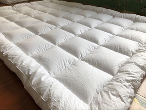 Dessus <span class=keywords><strong>de</strong></span> matelas en <span class=keywords><strong>bambou</strong></span>, 1 pièce, doux et confortable, avec oreiller rempli <span class=keywords><strong>de</strong></span> duvet - Product Image 3
