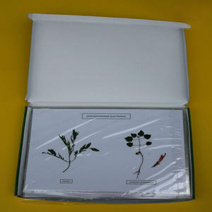 Auxílios de ensino de biologia de alta qualidade, plantas cultivadas de herbílio - Product Image 2