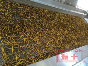 Secador de Cinta de malla para Deshidratado <span class=keywords><strong>Hemerocallis</strong></span> citrina baroni/Línea de Producción de <span class=keywords><strong>Hemerocallis</strong></span> Flava - Product Image 3