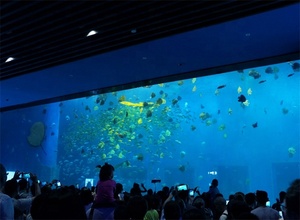 Grote Project Custom Acryl Aquarium/Clear Grote Vis Tank - Product Image 6