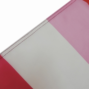 <span class=keywords><strong>Bandera</strong></span> del orgullo gay, color arcoíris, rosa, lésbico, se puede personalizar, gran oferta - Product Image 5