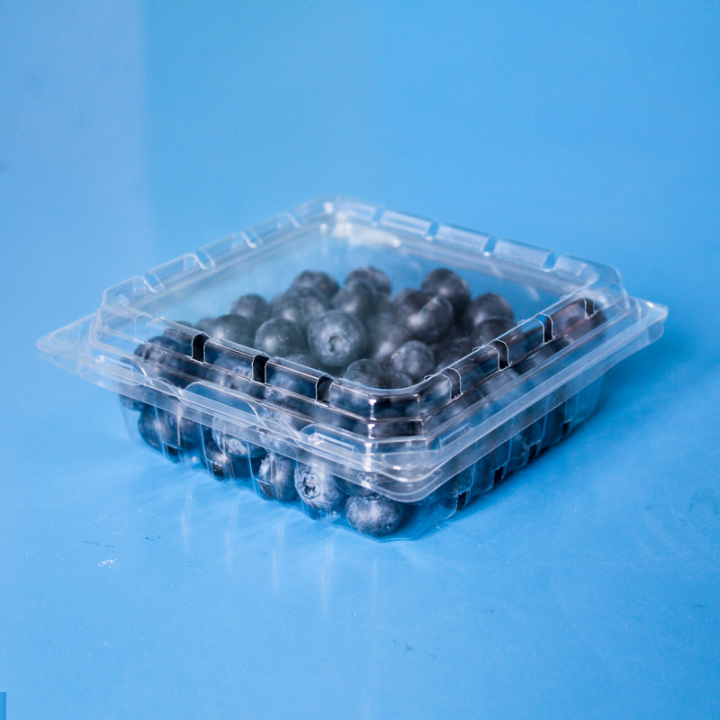 6 oz framboesa blueberry 170gr punnet plástico clamshell