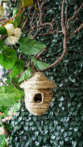 Maisons d'oiseaux suspendues tissées en paille naturelle faite à la main Cages nid perchoir poches <span class=keywords><strong>refuge</strong></span> d'oiseaux d'hiver - Product Image 2