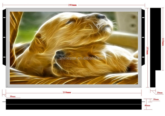 Integrated 15.6 Inch IPS LCD Open Frame Commercial Digital AD Player Totem Display