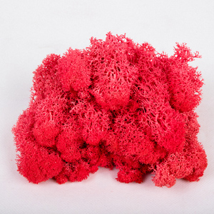 Wholesale Everlasting Raw Material <strong>Dried</strong> Stabilized Preserved <strong>Moss</strong> From China - Product Image 5