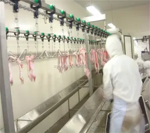 Ligne de production de volaille pour poulet, équipement d'abattoir pour volaille