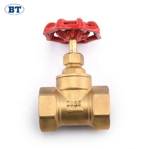 Üstün düşük fiyat pirinç fiş giriş valfi - Product Image 2