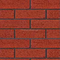Sintered Fire Clay Brick for Wall Decoration