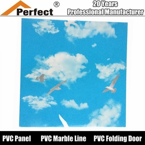 PVC 60 60ガレージ壁天井パネル - Product Image 5