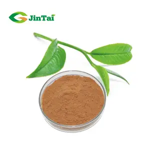 L-Theanine 98 Groene Thee Leaf Extract Poeder L Theanine Poeder L-Theanine Groene Thee Extract