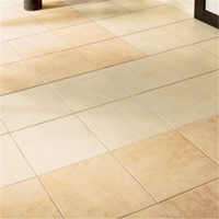 Prix des briques de clinker découpées sur mesure Liste des carreaux Kajaria en Inde Carreaux discontinués de Prima