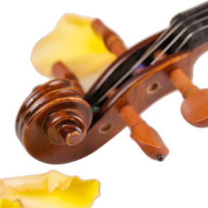 Instrumento Musical Violín Flameado Violín Música de Compras En Línea de China Con El Caso Libre (TL003-1) - Product Image 6