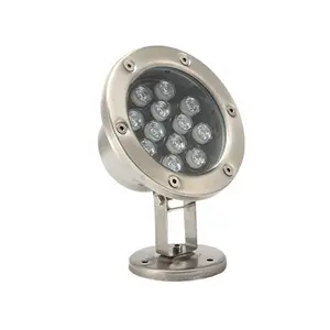 304 Roestvrij Staal Waterdicht Ip68 Kleur Veranderende Zwembad 12W Fontein Onderwater Led Licht