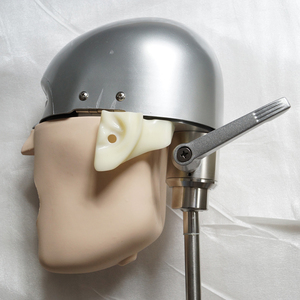 Hot phổ biến thực hành nha khoa đơn giản Phantom Head cho giảng dạy nha khoa thực hành mô hình - Product Image 3