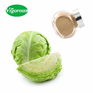 cabbage extract/cabbage p.e./Brassica Oleracea extract supplier