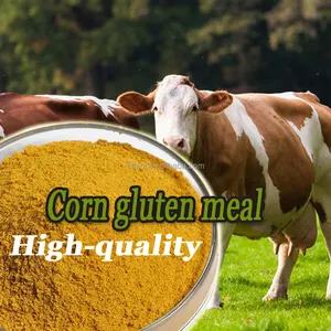 Best Price Corn Germ For Animal Feed