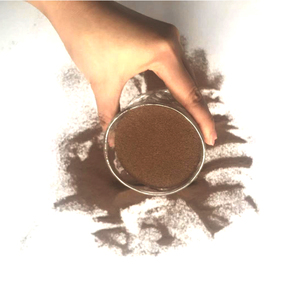 アルテミアシストブラインシュリンプの卵アルテミアサリーナ - Product Image 6