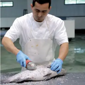 Elektrischer Fischs chuppen entferner/Akku Leistungs starker Fischs chuppen Fischs chuppen maschine