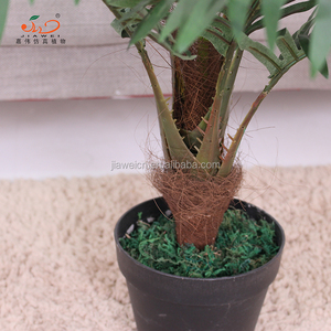Pianta di plastica artificiale della palma dei <span class=keywords><strong>bonsai</strong></span> dell'<span class=keywords><strong>interno</strong></span> di alta qualità <span class=keywords><strong>da</strong></span> vendere - Product Image 6