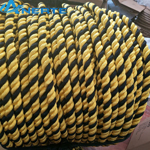 Haute-performance nylon alimenté parapente fitness bataille corde/cordes - Product Image 1