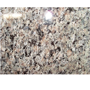 אספקה במועד קלדוניה החדשה השיש גרניט - Product Image 1
