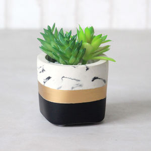 Maceta <span class=keywords><strong>de</strong></span> Cactus suculento <span class=keywords><strong>de</strong></span> cerámica blanca, macetas <span class=keywords><strong>con</strong></span> bandeja <span class=keywords><strong>de</strong></span> bambú para decoración del hogar - Product Image 1