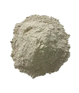 BRD Factory Wholesale Quick Setting Agent Admixture Concrete Accelerator Chemical Admixture Powder for CEMENT Tunnel Spray