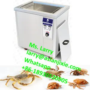 oysters cleaner machine/Lobster ultrasonic cleaning machine/crab washing machine