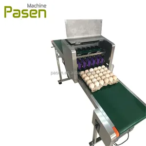 Egg expiry date stamping machine / Date code printer