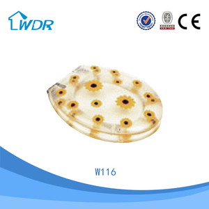 <span class=keywords><strong>Tapa</strong></span> <span class=keywords><strong>de</strong></span> <span class=keywords><strong>Inodoro</strong></span> Azul Sanitaria <span class=keywords><strong>de</strong></span> Diseño <span class=keywords><strong>Transparente</strong></span> Hecha en China - Product Image 4