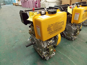 Bán buôn Ricardo tốc độ cao động cơ <span class=keywords><strong>diesel</strong></span> cho xe đạp - Product Image 5