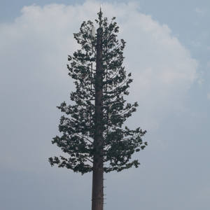 Torre de árbol de acero galvanizado, torre de señal de telecomunicaciones, fabricada en China - Product Image 2