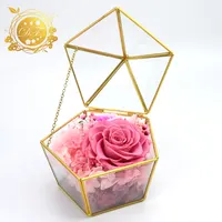 Roses romantiques de Terrarium géométrique, pour un cadeau de la saint-valentin, meilleure vente