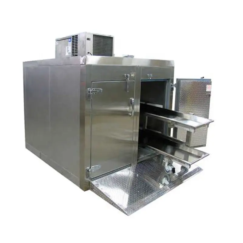 Cadaver storage freezer Dead Body Storage Cooler Freezer Cold refrigerator for corpse Deposito de cadaveres