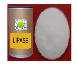 Top Qualitybaking Enzym Lipase Lip50ba Enzymfabriek